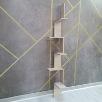 PHOTO-2023-07-06-16-54-23 PHOTO-2023-07-06-16-54-23