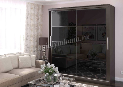 Шкаф-купе Танго 2.0 лакобель Р (Венге)