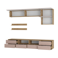 Камелия-шарли-пинк-открыт-1