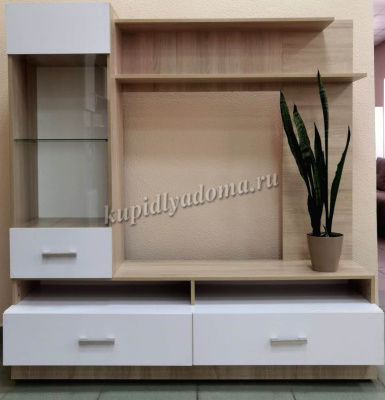 Гостиная Элиза модуль (Дуб сонома/Белый глянец)