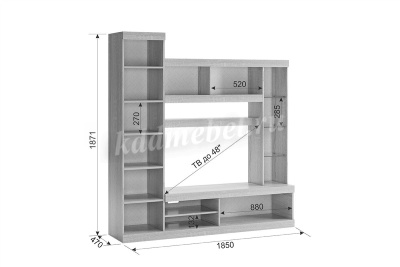 Гостиная Макси (Дуб сонома/Белое дерево)