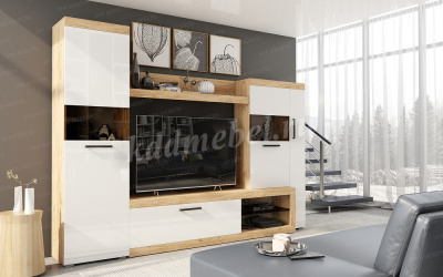 Гостиная Бастон (Дуб вотан/Белый гладкий)