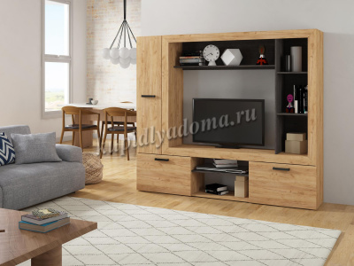 Гостиная Оскар 3 (Дуб золотой/Венге)